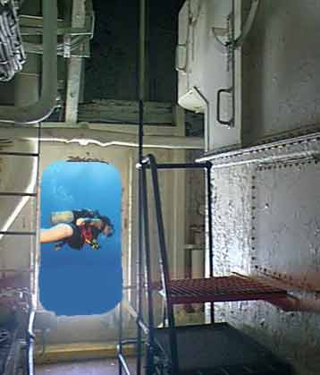Your dive buddy?
